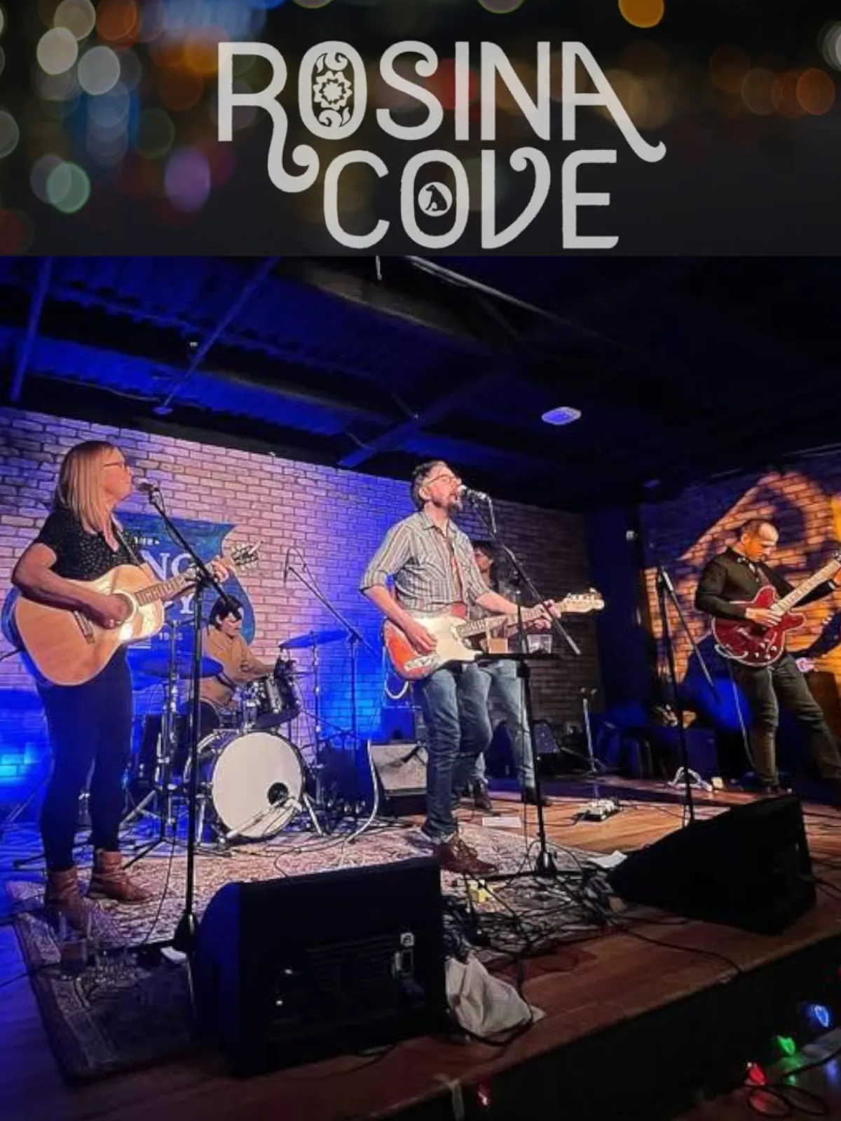 A live band performing at the inaugural In the Woods Music Festival